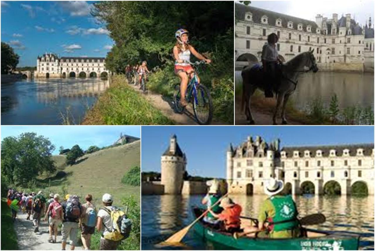 Le Roi Coq Bed & Breakfast Chenonceaux Eksteriør bilde